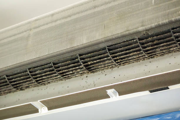 Best Professional Duct Cleaning Services  in Medford, WI